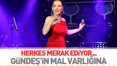 Ebru Gündeş'in neden mal varlığına el konulmadı