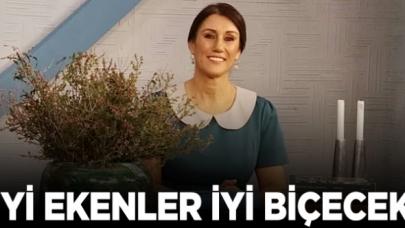 Uranyen Astrolog Arzu Erkan: İyi ekenler iyi biçecek