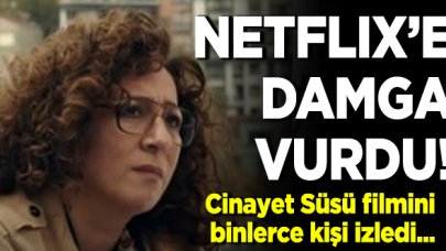 Cinayet Süsü Netflix izle | Cinayet Süsü oyuncu kadrosu ve konusu