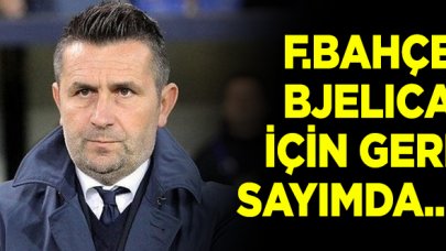 Fenerbahçe'de Bjelica için geri sayım! Taktiğini de belirledi