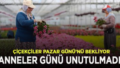 Çiçekçiler Anneler Günü'ne hazır