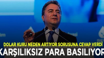 Ali Babacan’dan kur artışı yorumu: Ciddi bir ekonomik krizle yüzleşeceğiz