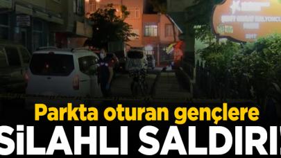 Parkta oturan gençlere kurşun yağdırdılar