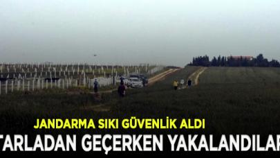 Yazlıkçılar Tekirdağ'a tarla yollarından gitmek isteyince yakalandılar