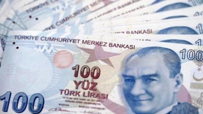 Yeni 100 liralar 20 Mayıs'ta tedavüle çıkıyor