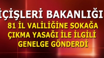 İçişleri Bakanlığı'ndan 81 il valiliğine sokağa çıkma yasağı genelgesi