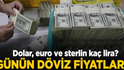 20 Mayıs Çarşamba dolar, euro ve sterlin kaç lira? Alış ve satış fiyatları...