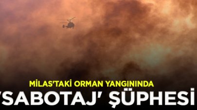 Milas'taki orman yangınında 'sabotaj' şüphesi