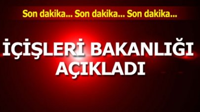 İçişleri Bakanlığı açıkladı: 65 yaş üstü 258 bin kişiye seyahat izni verildi