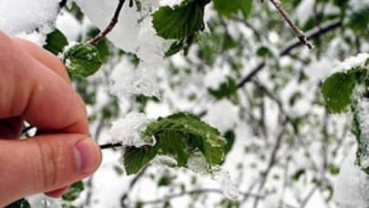 Dört il için zirai don uyarısı