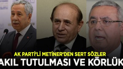 Ak Parti'li Metiner'den Kuzu ve Arınç'a tepki: Yandaşlıkta bizi geçtiler