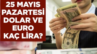 25 Mayıs Pazartesi dolar ve euro kaç lira? Alış ve satış fiyatları...