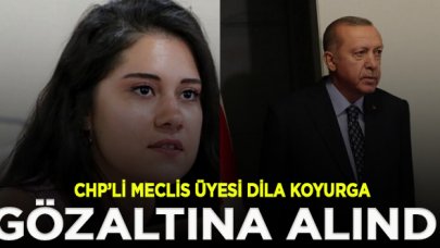 CHP'li Belediye Meclis Üyesi Dila Koyurga Erdoğan'a hakaretten gözaltına alındı| Dila Koyurga kimdir?