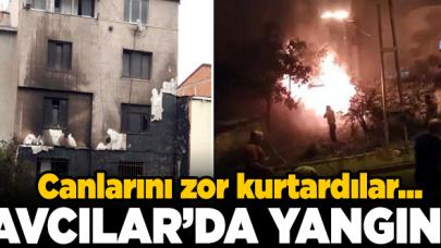 Avcılar'da yangın çıktı, canlarını zor kurtardılar