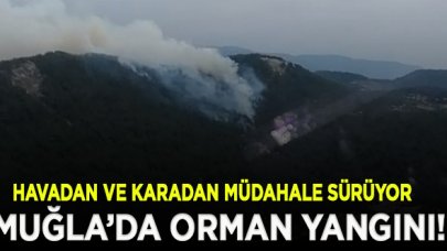 Muğla'da çıkan orman yangını büyüyor!