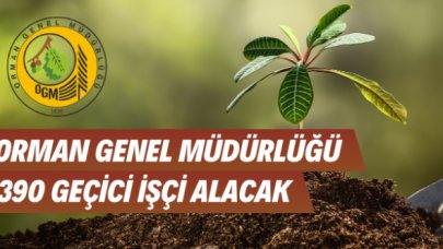 Orman Genel Müdürlüğü geçici işçi alımı yapacak