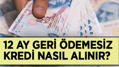 12 ay geri ödemesiz kredi nasıl alınır| Kamu bankalarının kredi destek paketleri başvurusu nasıl yapılıyor?