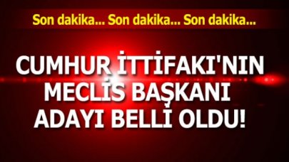 Cumhur İttifakı'nın Meclis Başkanı adayı belli oldu!