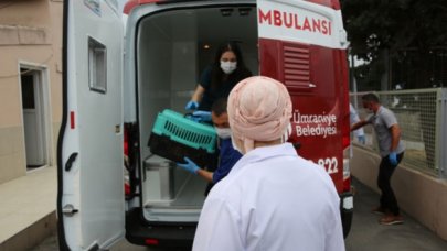 Hayvan ambulansı minik dostlar için hizmete başladı