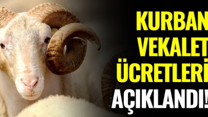 2020 Kurban vekaleti ücreti belli oldu