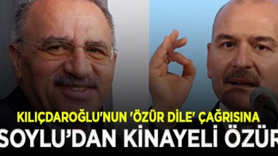 Kılıçdaroğlu'nun "Saygı Öztürk' çağrısına, Soylu'dan kinayeli özür