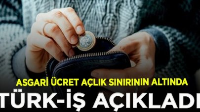 Türk-İş açlık ve yoksulluk sınırı araştırmasını paylaştı