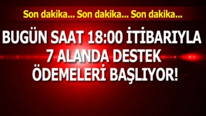 Bugün saat 18:00 itibarıyla 7 alanda destek ödemeleri başlıyor!