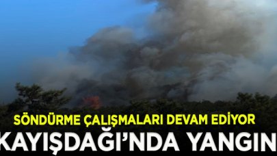 İstanbul Kayışdağı'nda orman yangını