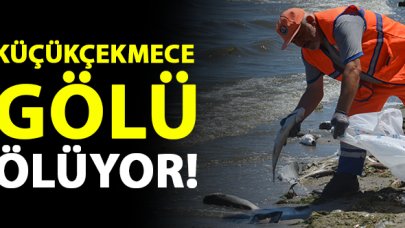 Küçükçekmece Gölü ölüyor!