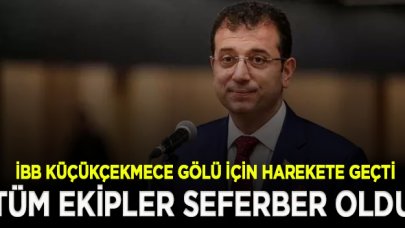 İBB, Küçükçekmece Gölü'nde yaşanan balık ölümleri üzerine harekete geçti