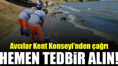 Avcılar Kent Konseyi: Hemen tedbir alın