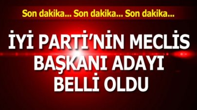 İYİ Parti’nin Meclis Başkanı adayı belli oldu