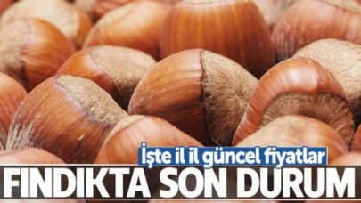 4 Temmuz Cumartesi fındık kaç lira? | Güncel fındık fiyatları