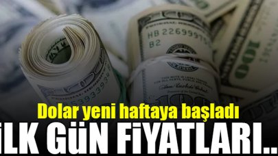 Dolar kaç lira? 6 Temmuz Pazartesi alış ve satış fiyatları