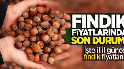 7 Temmuz Salı fındık kaç lira? | Güncel fındık fiyatları