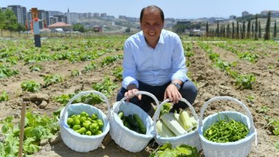 Beylikdüzü'nde bahçeden sofraya