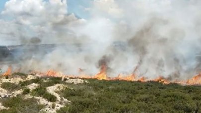 Tuzla'da otluk alanda yangın