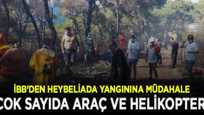 İBB'den çok sayıda araç ve helikopterle yangına müdahale