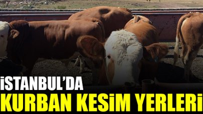 2020 İstanbul kurban satış ve kesim yerleri