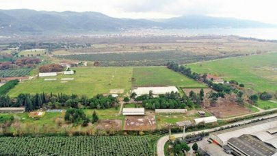 Varank, yerli otomobilin üretileceği fabrikanın temelinin atılacağı tarihi açıkladı