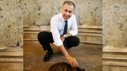 Vali Yerlikaya'dan kedi 'Gli' paylaşımı