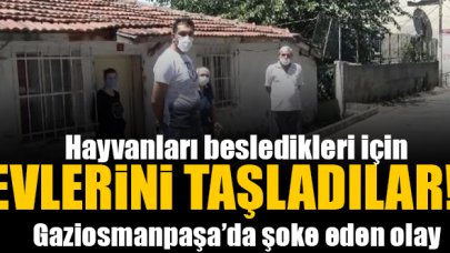 Hayvan besleyen ailenin evi taşlandı!