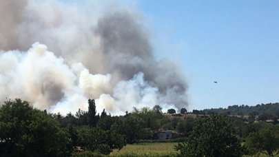 Çanakkale'de orman yangını