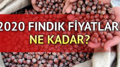 28 Temmuz Salı fındık kaç lira? | Son dakika fındık fiyatları