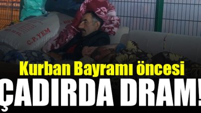 Çadırda dram