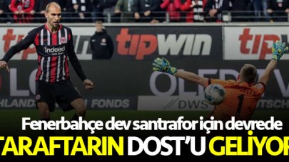 Fenerbahçe'den Bas Dost atağı!