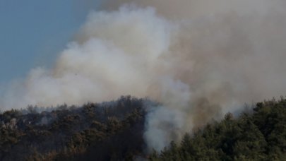 Menderes'te orman yangını