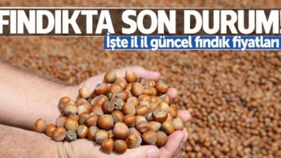 5 Ağustos Çarşamba fındık kaç lira? | Son dakika fındık fiyatları