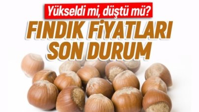 10 Ağustos Pazartesi fındık kaç lira? | Son dakika fındık fiyatları