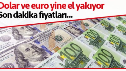 11 Ağustos Salı dolar ve euro kaç lira? Son dakika fiyatları...